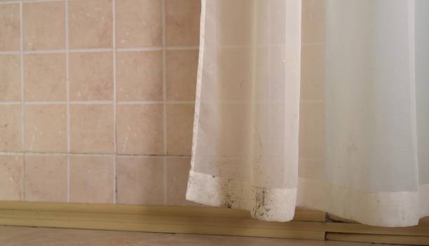 Best Mold Prevention Services  in Warsaw, MO