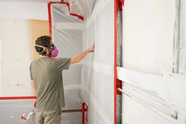 Trusted Warsaw, MO Mold Removal Experts