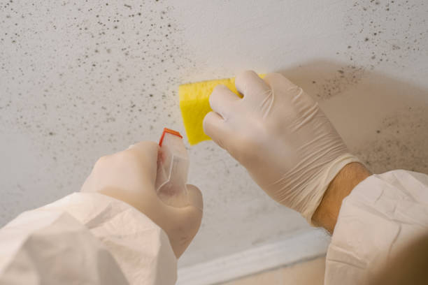 Forensic Mold Investigation in Warsaw, MO